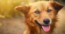 AI Image Enhancer: Boost Photo Quality with Advanced AI Technology(54)