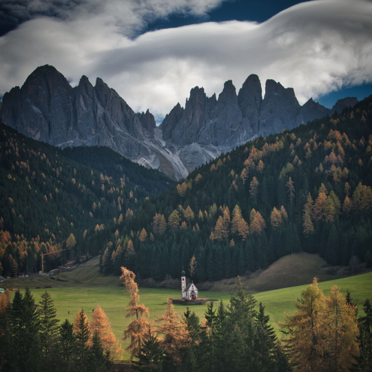 Forest Photography Masterclass Video Course by Max Rive(3)