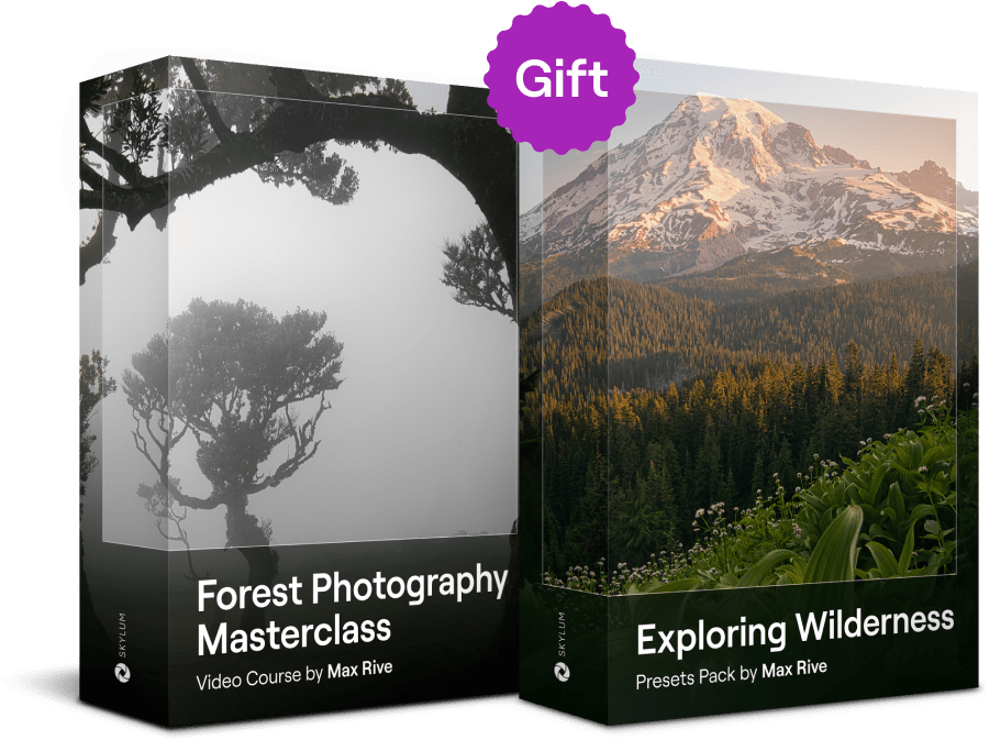 Forest Photography Masterclass Video Course by Max Rive(14)