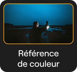 Transfert de Couleurs : Transfert du Style d'une Image par l'IA dans Luminar Neo(26)