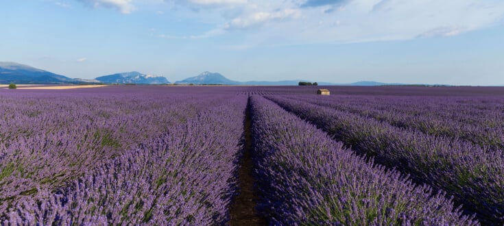 French Voyage Kit by Team Skylum(16)