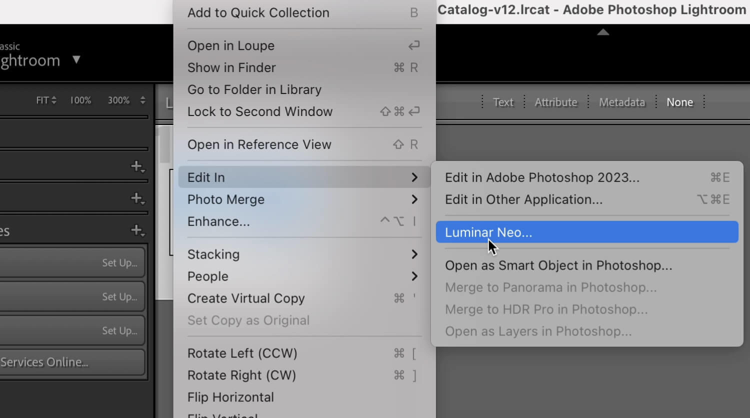 Plug Luminar Neo Plugin for Lightroom - step 2