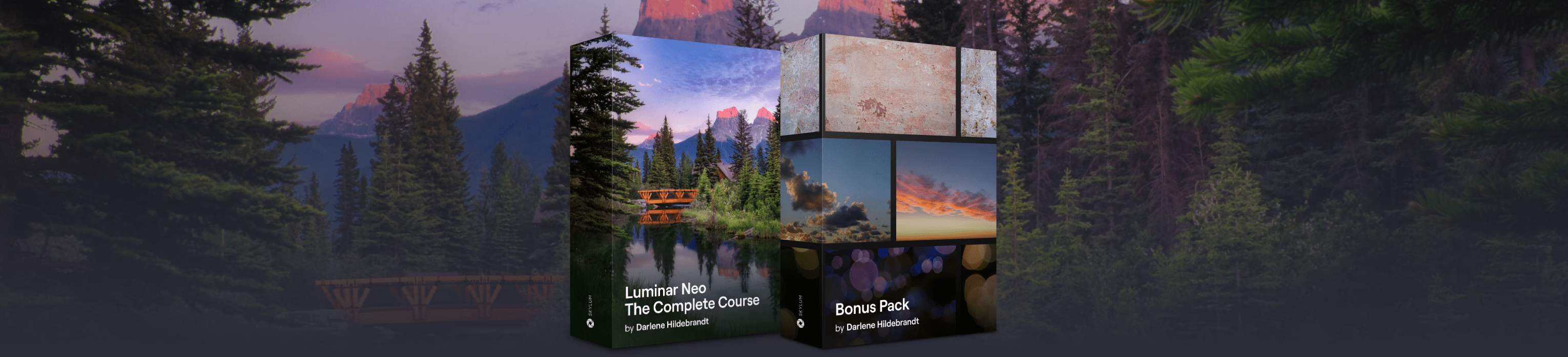 Luminar Neo – The Complete Course by Darlene Hildebrandt(13)
